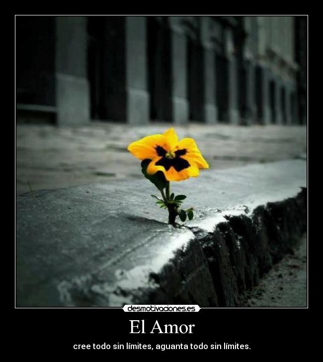 El Amor - cree todo sin límites, aguanta todo sin límites.