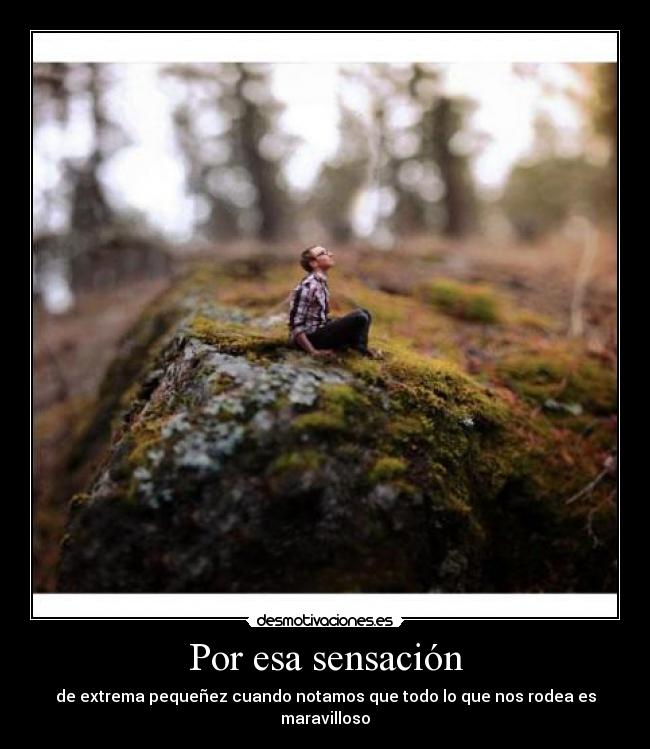 carteles chico siento percibir naturaleza desmotivaciones