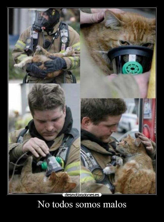No todos somos malos -