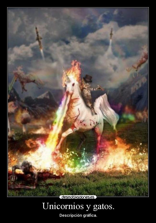 Unicornios y gatos. - 