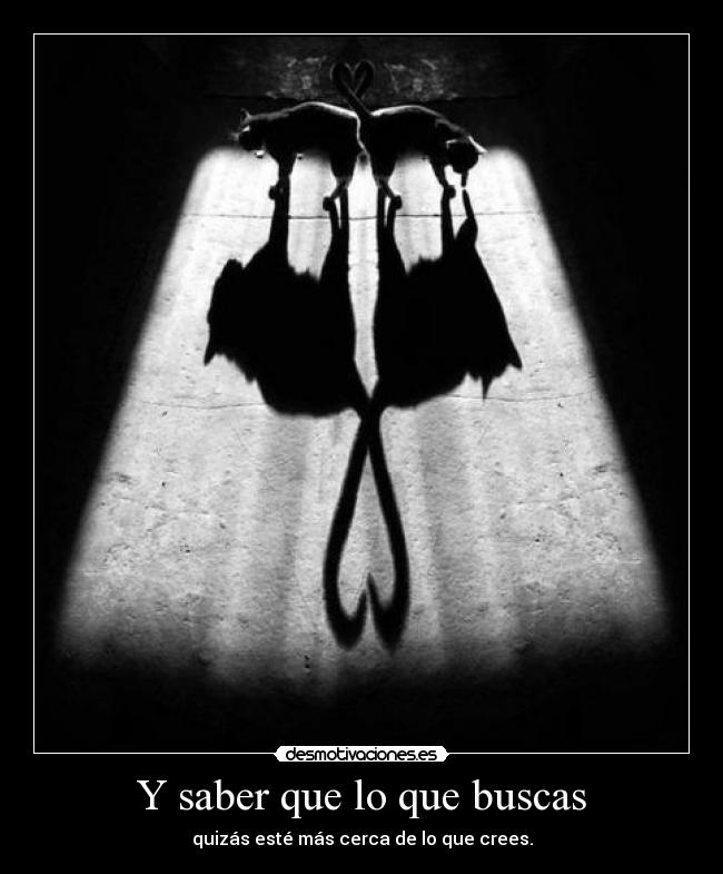 Y saber que lo que buscas - quizás esté más cerca de lo que crees.