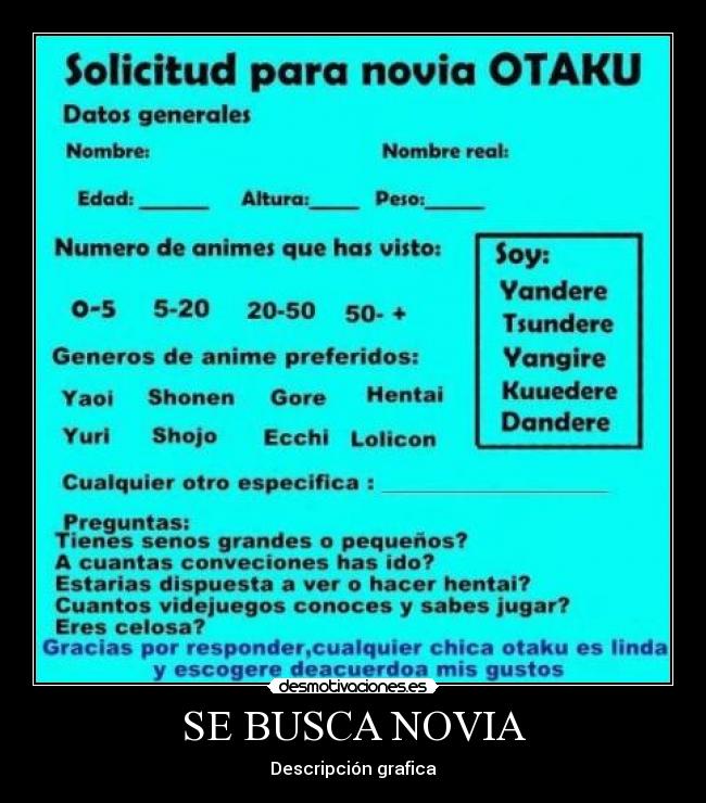 SE BUSCA NOVIA - Descripción grafica