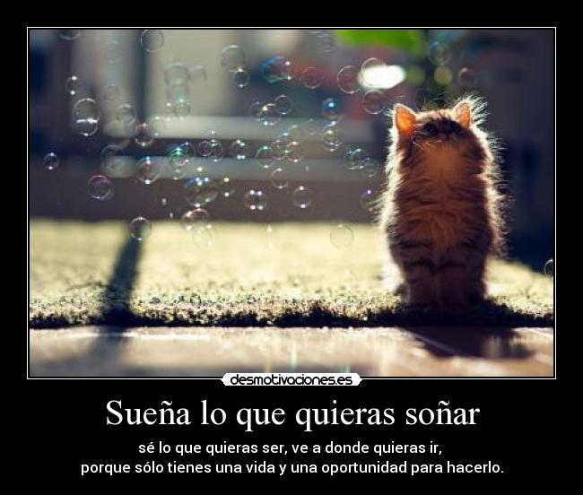 Sueña lo que quieras soñar -