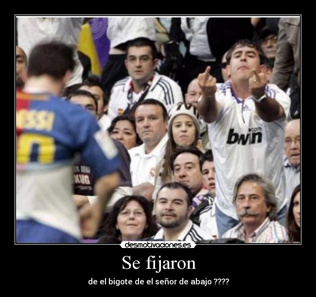 Se fijaron - 