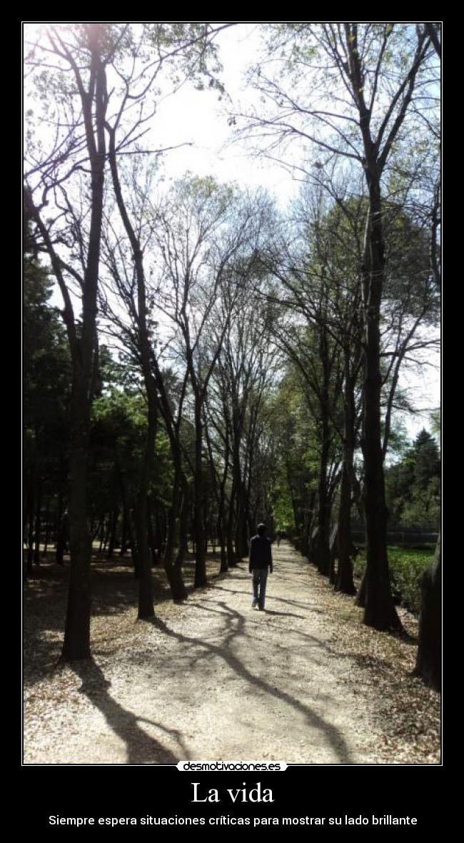 La vida - 