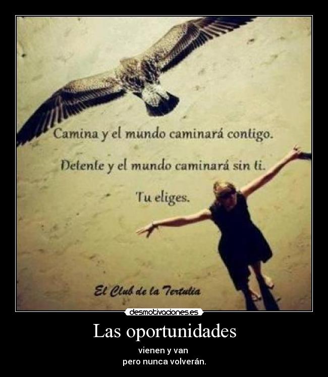 Las oportunidades -