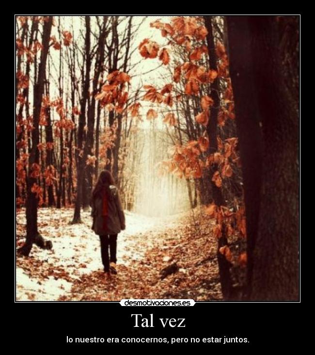 Tal vez - 