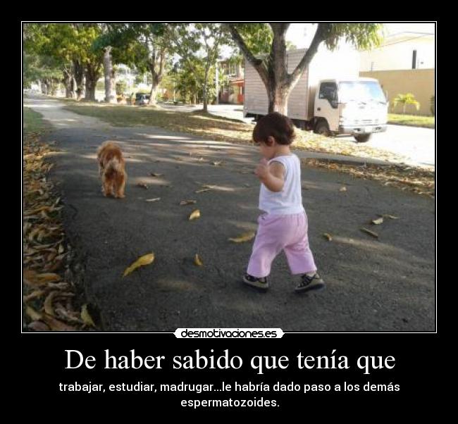 carteles nanys desmotivaciones