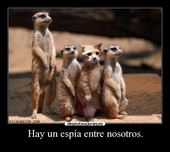 carteles vida desmotivaciones