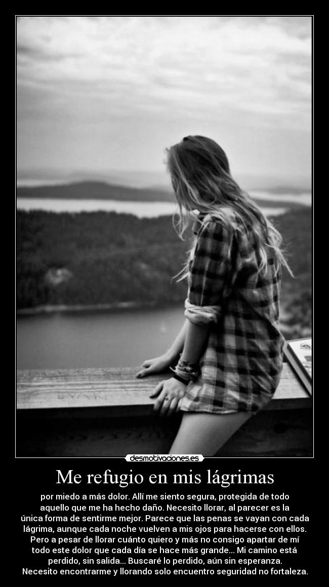 carteles soniavlc98red clantheblackcat dao por estos carteles que monosiiidaad como desmotivaciones