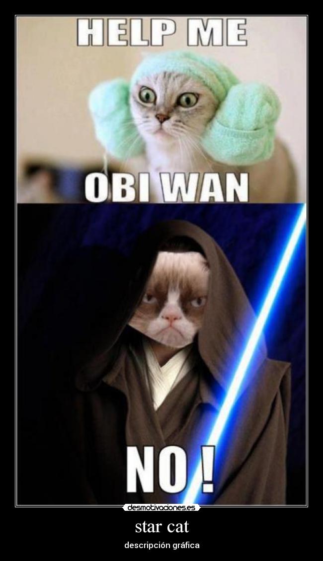 star cat - descripción gráfica