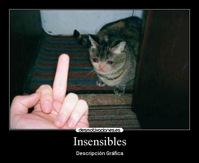 Insensibles - Descripción Gráfica
