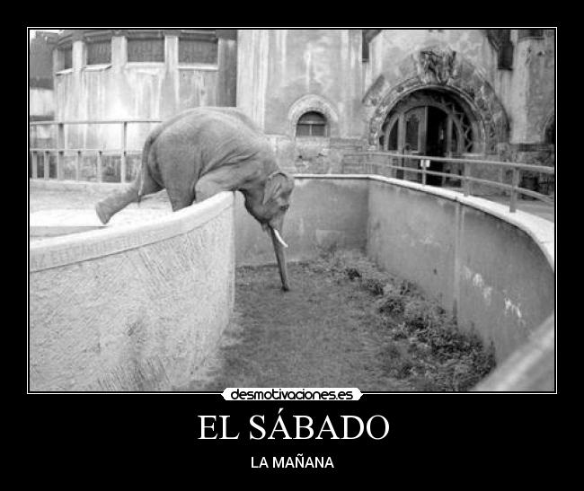 EL SÁBADO - LA MAÑANA