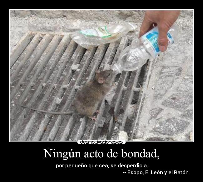 Ningún acto de bondad, -