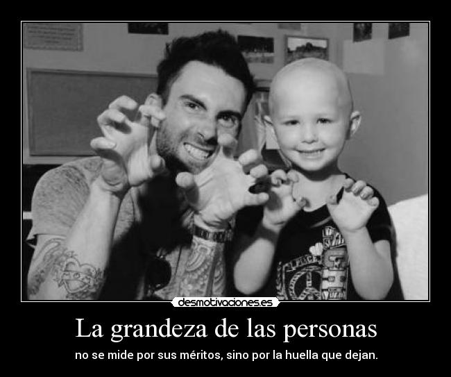 carteles soniavlc98red clantheblackcat vamos que soy una pequena adam levine muero ojala desmo02 desmotivaciones