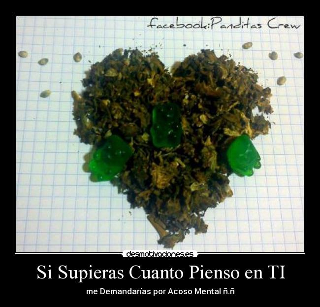 Si Supieras Cuanto Pienso en TI - me Demandarías por Acoso Mental ñ.ñ