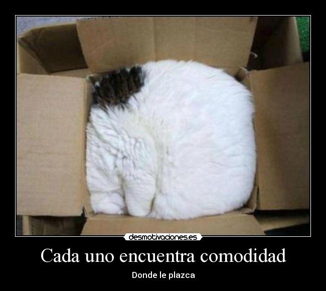 Cada uno encuentra comodidad - Donde le plazca