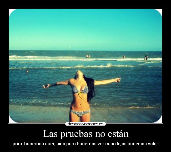 Las pruebas no están -