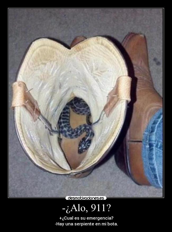 -¿Alo, 911? - +¿Cual es su emergencia?
-Hay una serpiente en mi bota.
