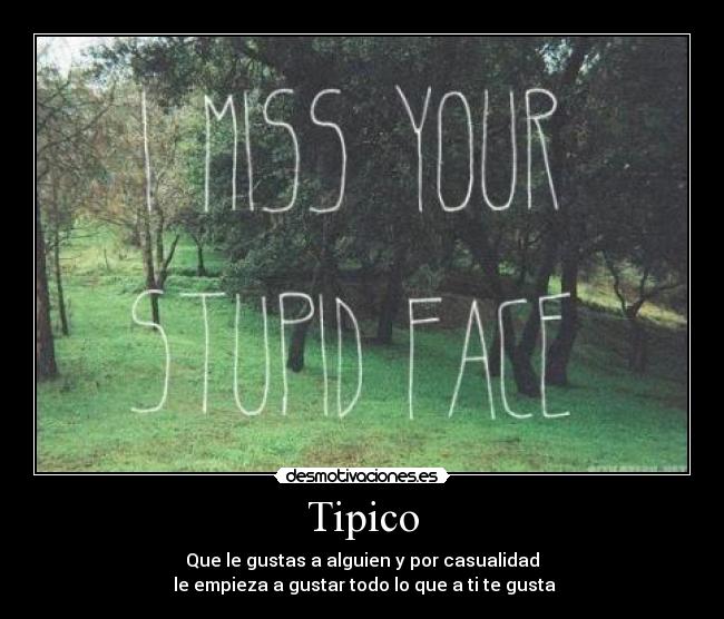 Tipico - Que le gustas a alguien y por casualidad
 le empieza a gustar todo lo que a ti te gusta