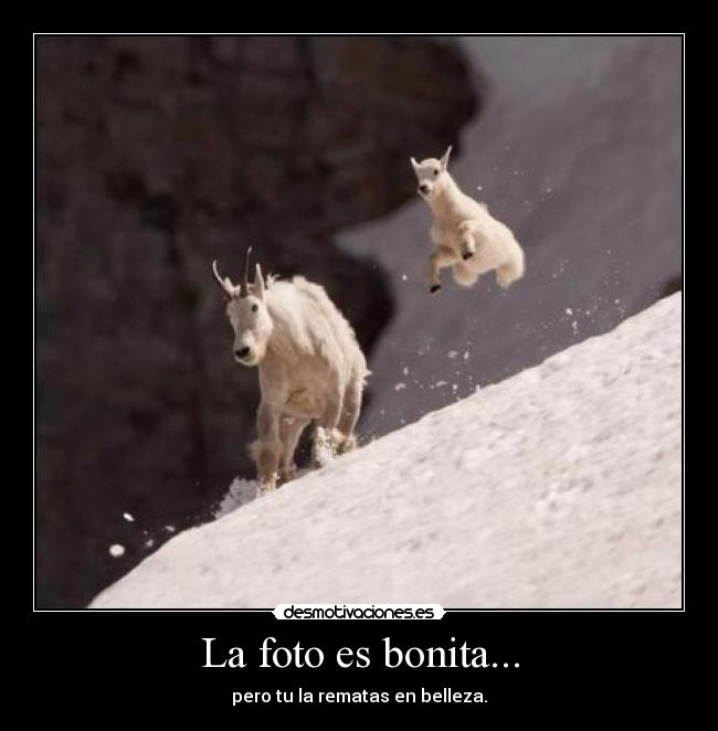 La foto es bonita... - pero tu la rematas en belleza.