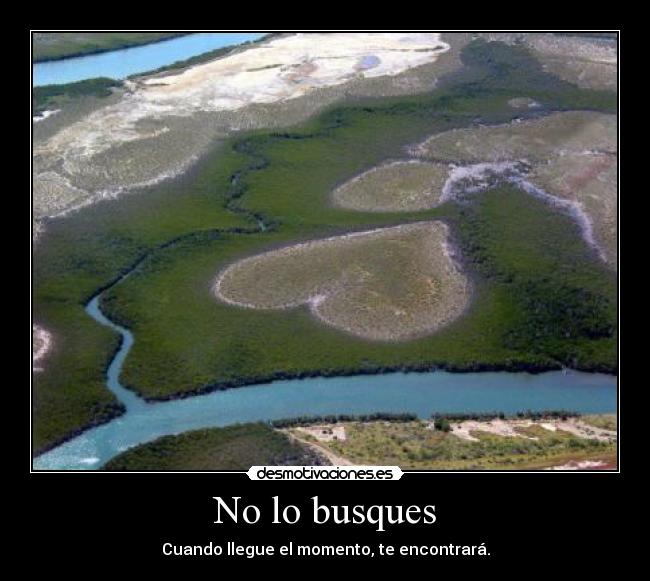 No lo busques - Cuando llegue el momento, te encontrará.