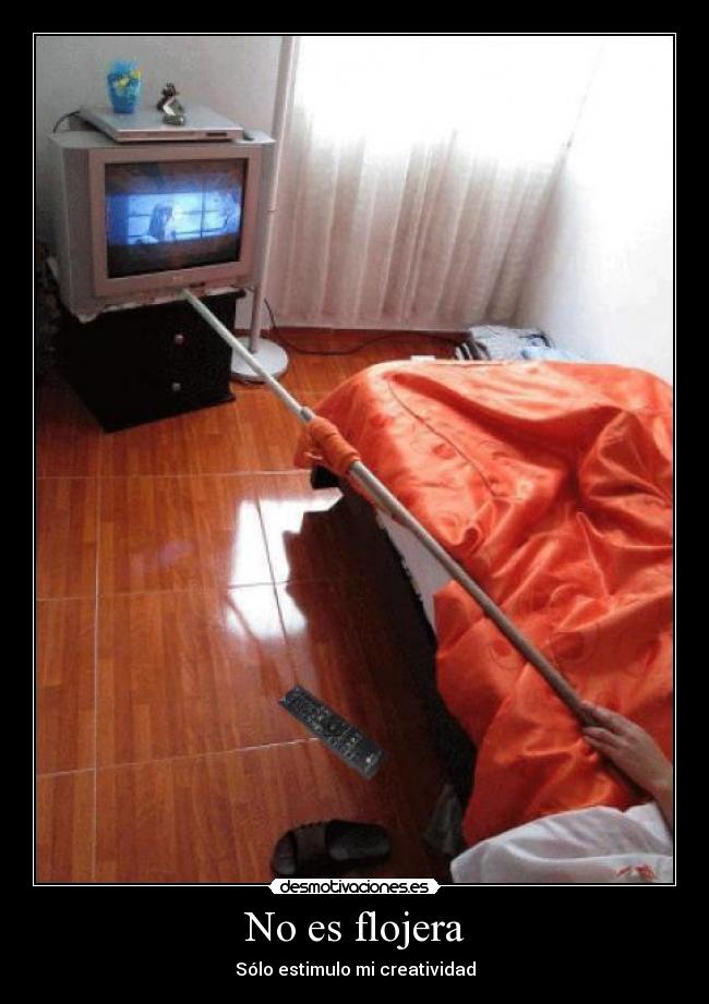 carteles flojera creatividad desmo desmotivaciones