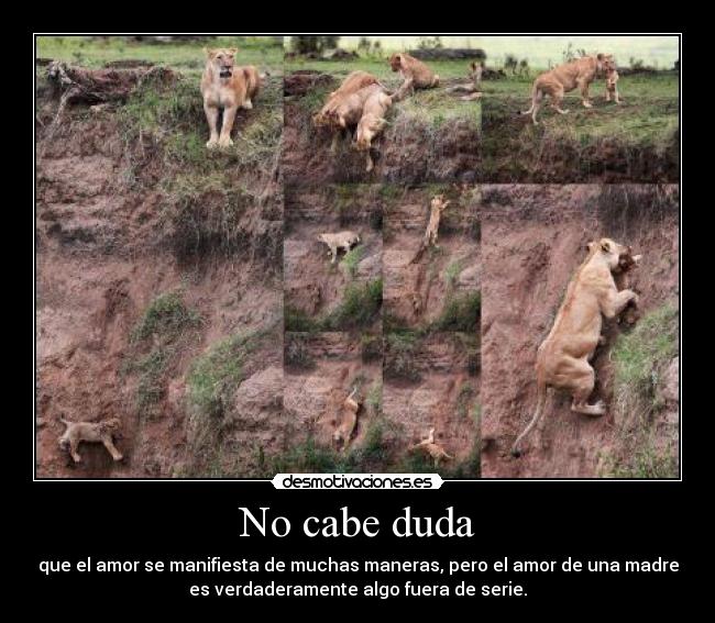 No cabe duda - que el amor se manifiesta de muchas maneras, pero el amor de una madre
es verdaderamente algo fuera de serie.