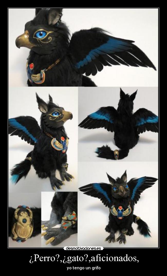 ¿Perro?,¿gato?,aficionados, -