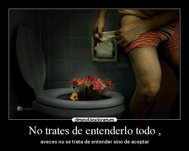 No trates de entenderlo todo , -