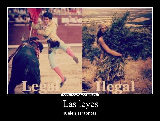 Las leyes - 