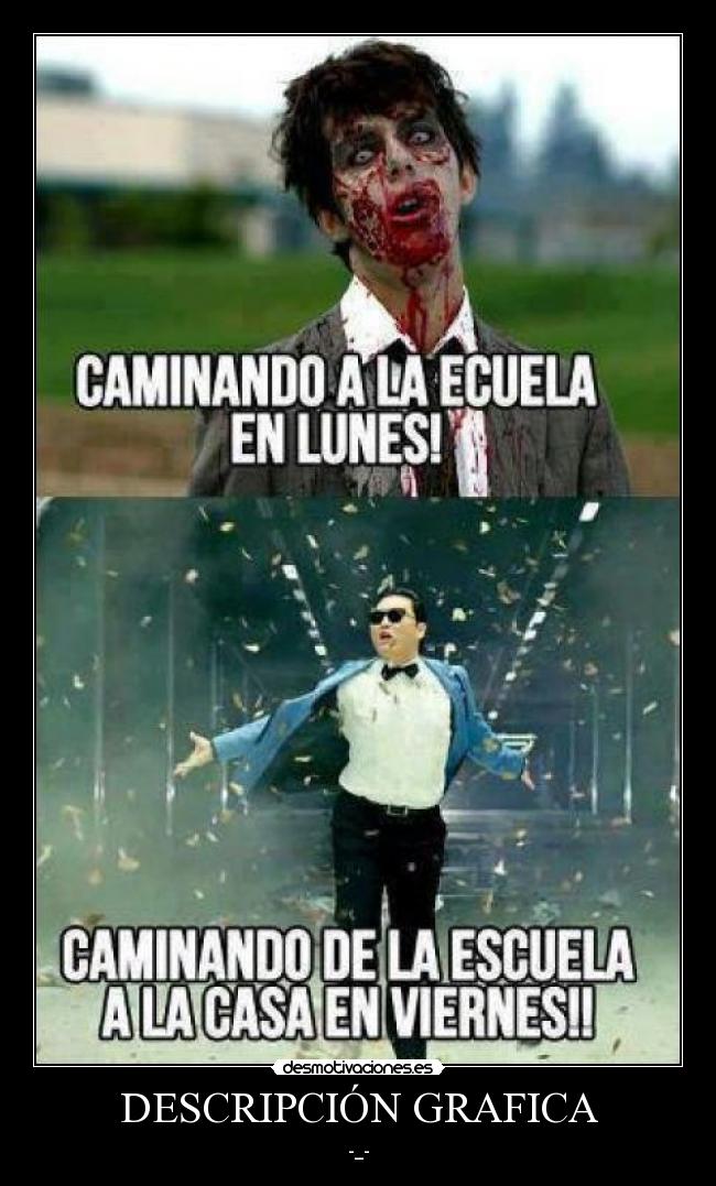 DESCRIPCIÓN GRAFICA - -_-