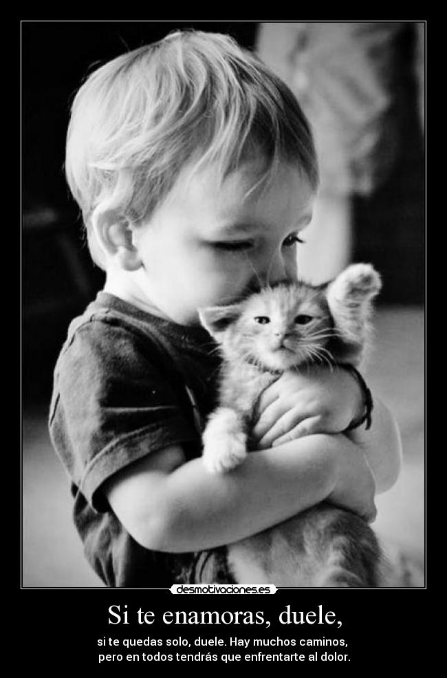 carteles dolor amar solo dolor desmotivaciones