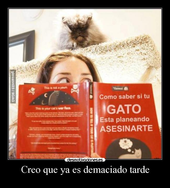 Creo que ya es demaciado tarde -