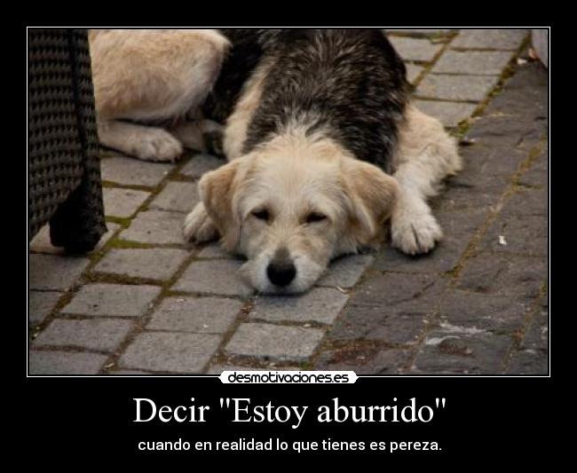 Decir Estoy aburrido - cuando en realidad lo que tienes es pereza.