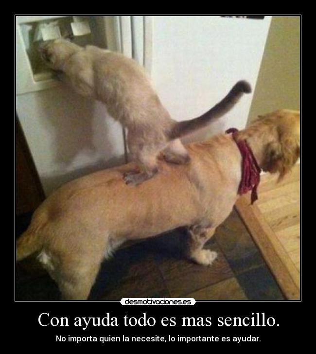 carteles ayuda con ayuda todo mas sencillo importa quien necesite importante ayudar desmotivaciones