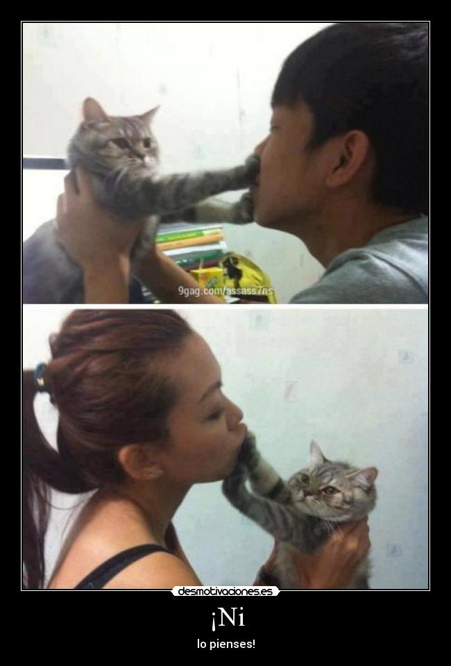 ¡Ni - lo pienses!