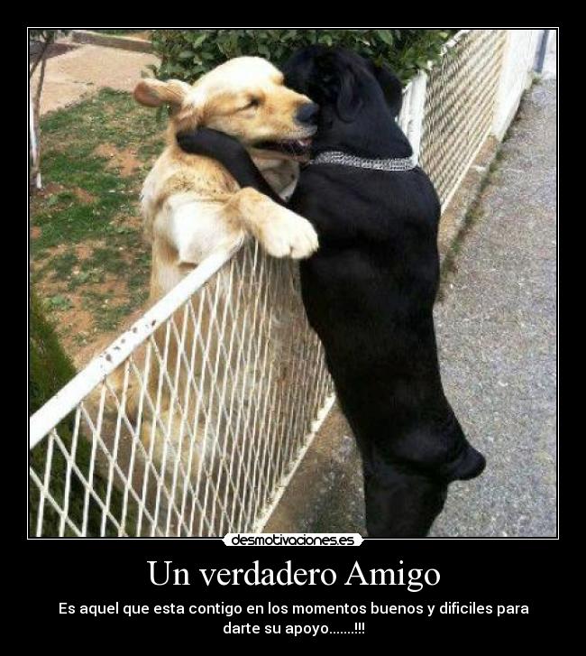 carteles elelloco desmotivaciones