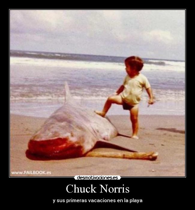 Chuck Norris -