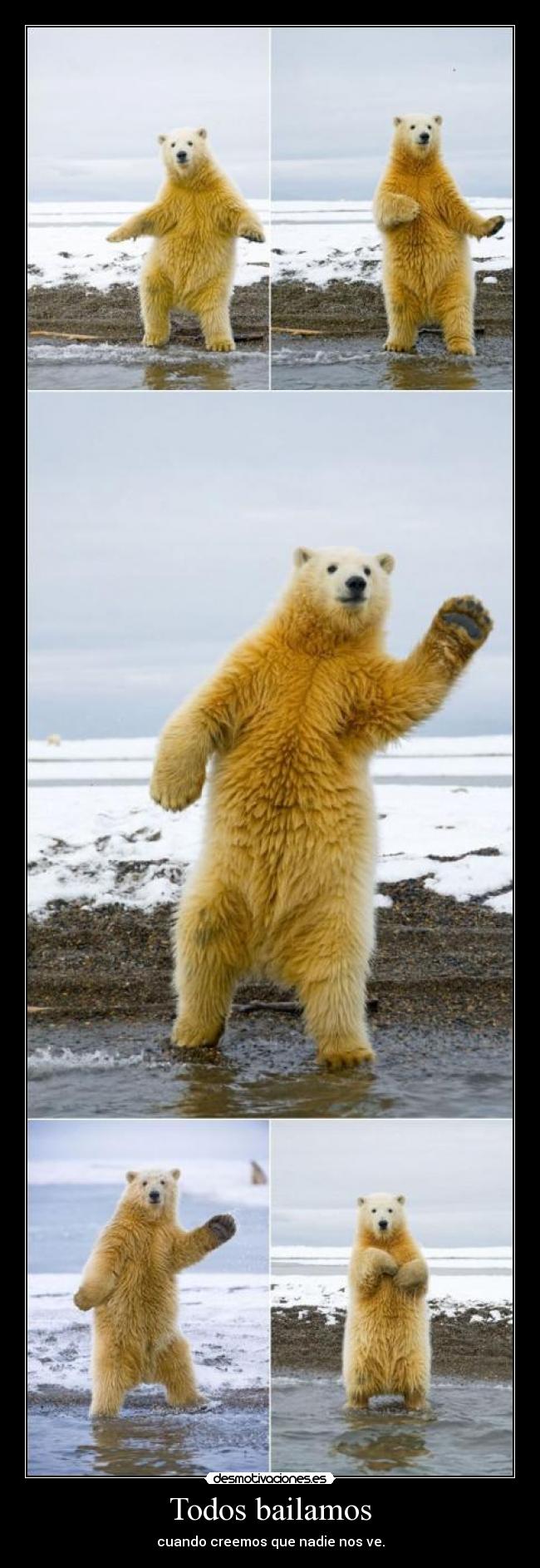 Todos bailamos -