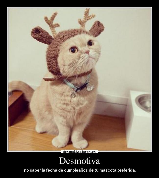 Desmotiva - no saber la fecha de cumpleaños de tu mascota preferida.