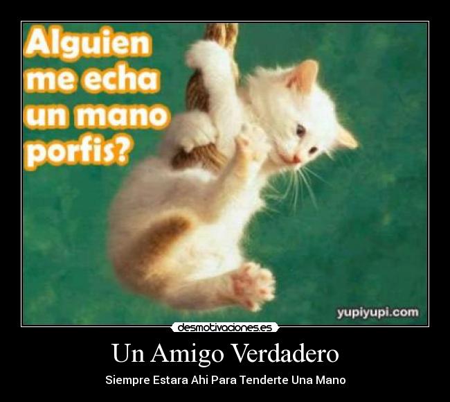 Un Amigo Verdadero - Siempre Estara Ahi Para Tenderte Una Mano