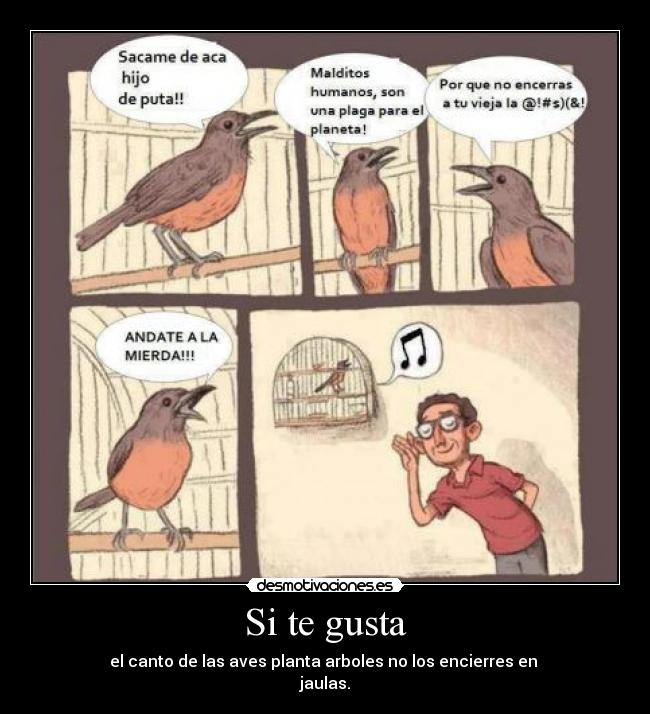 Si te gusta - el canto de las aves planta arboles no los encierres en 
jaulas.