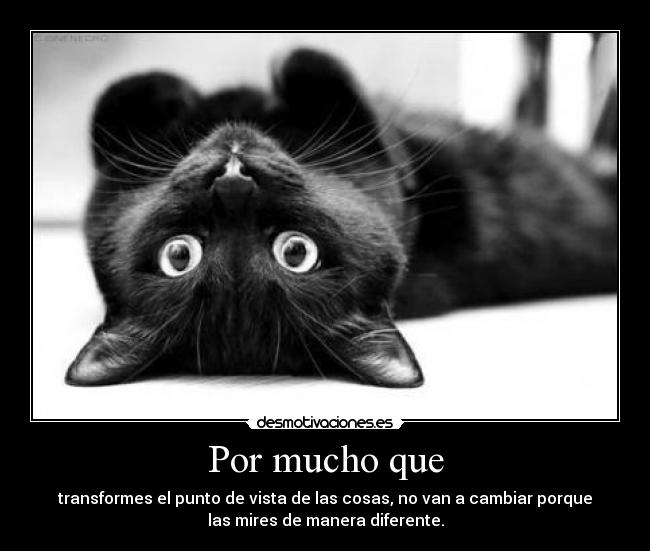 Por mucho que - transformes el punto de vista de las cosas, no van a cambiar porque
las mires de manera diferente.