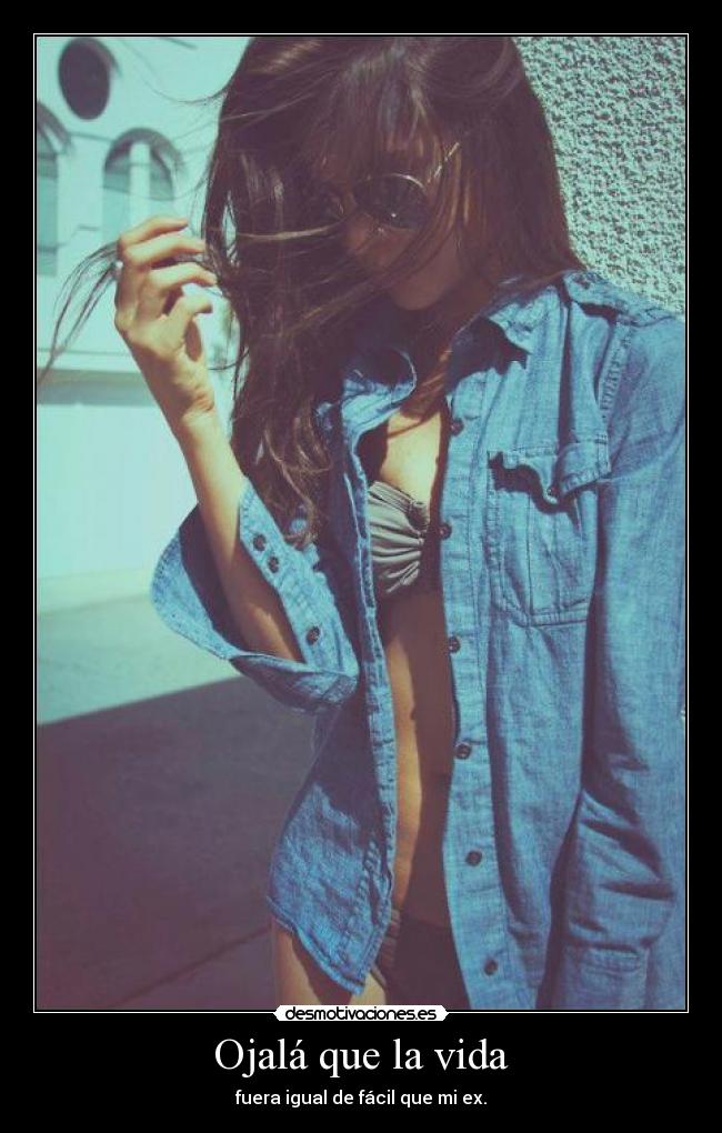 carteles vida julia desmotivaciones