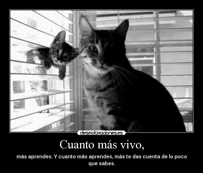 Cuanto más vivo, - 