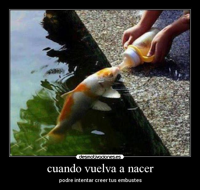 cuando vuelva a nacer - 