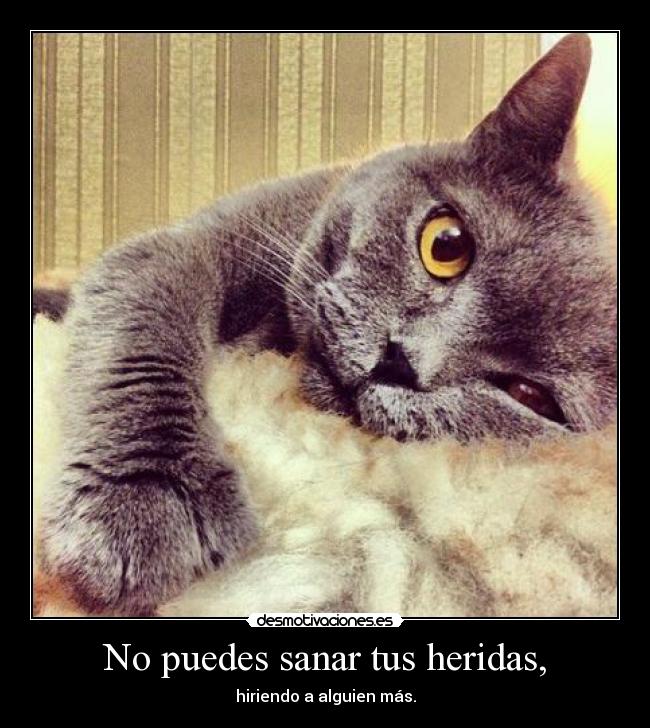 No puedes sanar tus heridas, - hiriendo a alguien más.