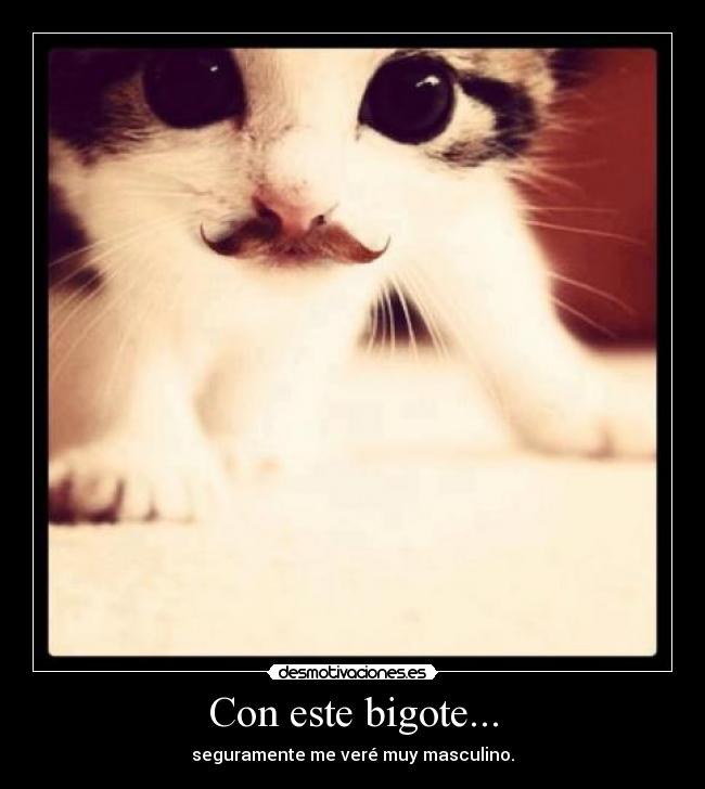 Con este bigote... - 