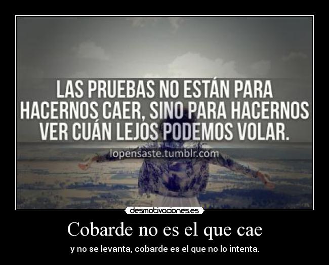 Cobarde no es el que cae - y no se levanta, cobarde es el que no lo intenta.